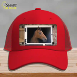 Horse In Barn Novelty License Plate Hat Mesh / Red
