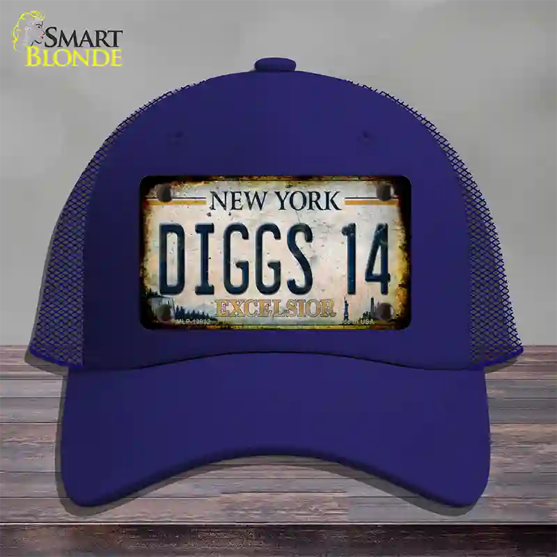 Diggs 14 Excelsior New York Rusty Novelty License Plate Hat Tag Mesh Royal Blue
