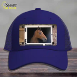 Horse In Barn Novelty License Plate Hat Mesh / Royal Blue