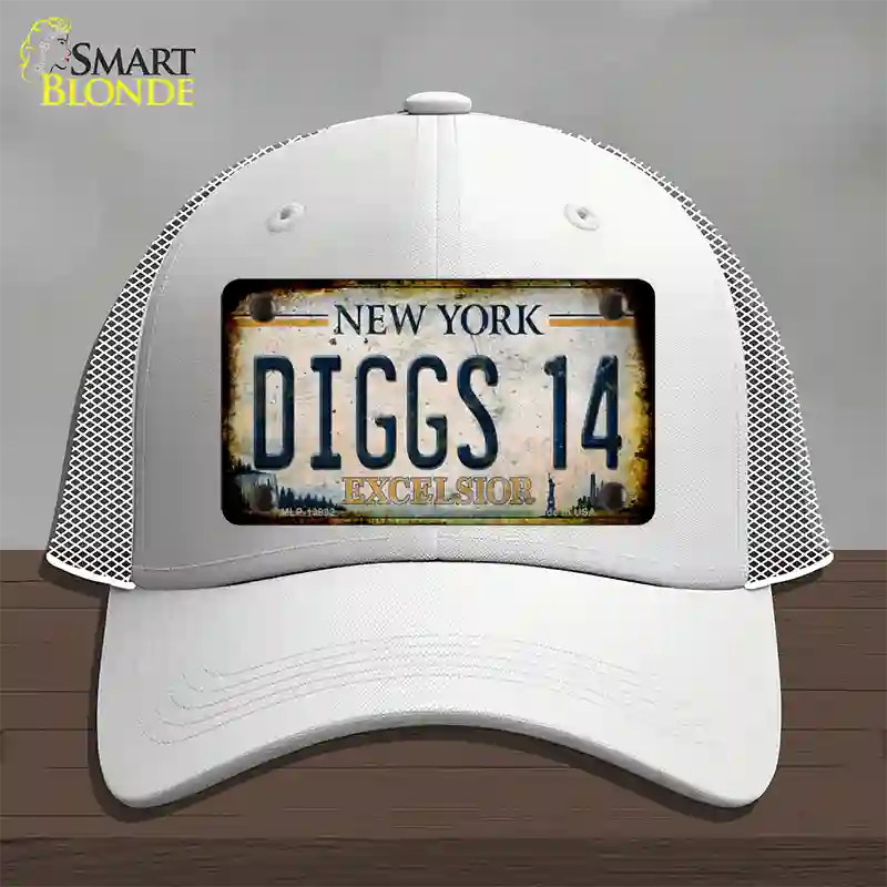 Diggs 14 Excelsior New York Rusty Novelty License Plate Hat Tag Mesh White