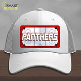 PANTHERS Graphic Novelty License Plate Hat HAT-MLP-14668 Mesh White