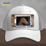 Horse In Barn Novelty License Plate Hat Mesh / White