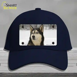 Husky Dog Novelty License Plate Hat Cotton / Navy