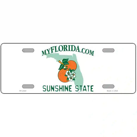 Florida State Blank Novelty Metal License Plate