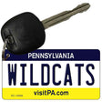 Wildcats Novelty Metal Key Chain KC-13006