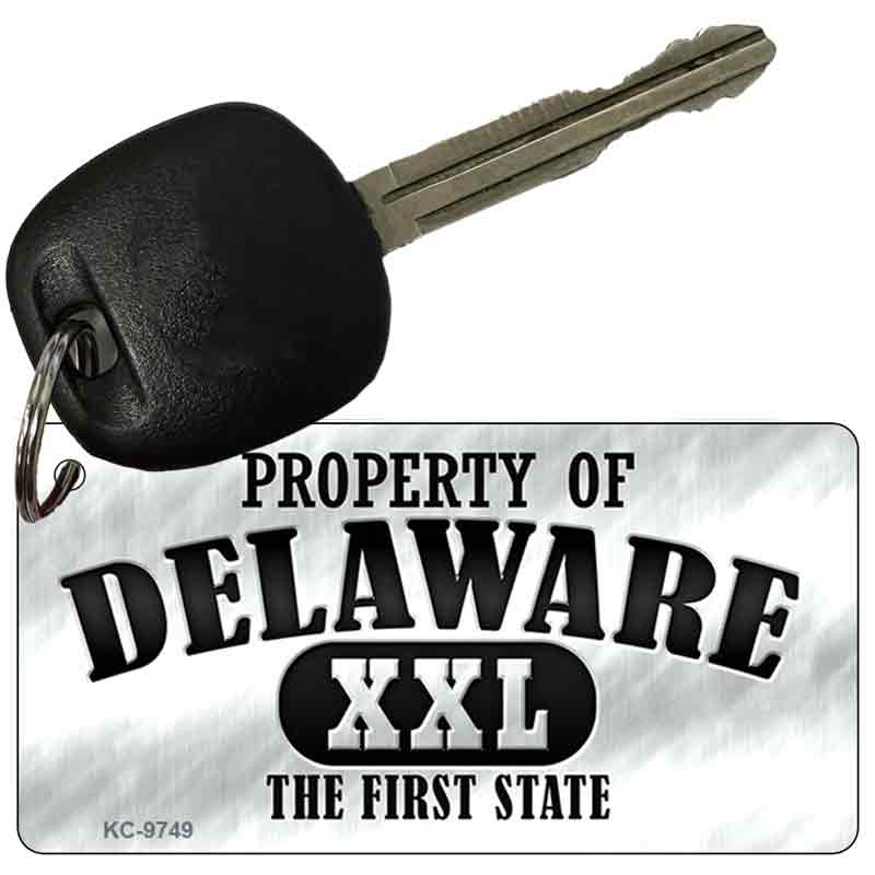 Property Of Delaware Novelty Metal Key Chain KC-9749