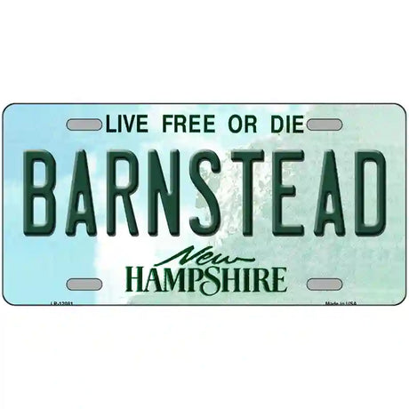 Barnstead New Hampshire State Novelty Metal License Plate 24" x 12" (LLP)