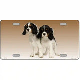 Cavalier King Charles Spaniel Dog Metal Novelty License Plate 24" x 12" (LLP)