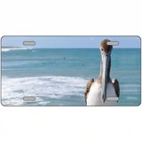 Pelican Ocean Novelty Metal License Plate 12" x 6" (LP)