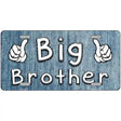 Big Brother Novelty License Plate 12" x 6" (LP)