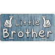 Little Brother Novelty License Plate 12" x 6" (LP)