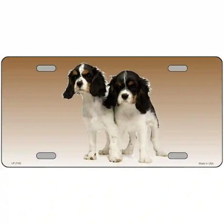 Cavalier King Charles Spaniel Dog Metal Novelty License Plate 12" x 6" (LP)