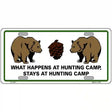 What Happens At Camp Metal Novelty License Plate 12" x 6" (LP)