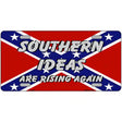 Southern Ideas Risin Again Metal Novelty License Plate 12" x 6" (LP)