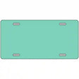 Mint Solid Metal Novelty License Plate 12" x 6" (LP)
