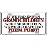 Grandchildren First Metal Novelty License Plate 12" x 6" (LP)