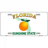 Florida Novelty State Metal License Plate 12" x 6" (LP)