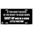 If You Dont Believe In The Right Metal Novelty License Plate 12" x 6" (LP)