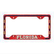 Florida Novelty Metal License Plate Frame LPF-633 12.25" x 6.5" Standard Frame (LPF)