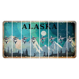 Alaska Northern Lights Cut License Plate Strips (Set of 8) Swordfish