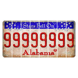 Stars Fell on Alabama Cut License Plate Strips (Set of 8) 9
