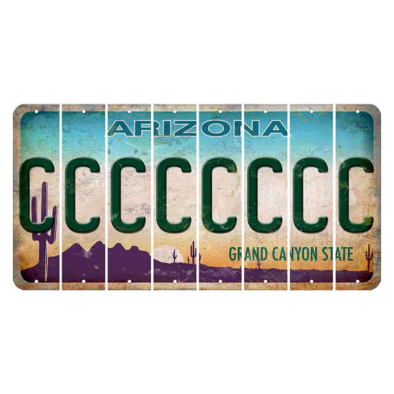 Arizona Desert Scene Cut License Plate Strips (Set of 8) C