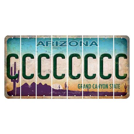 Arizona Desert Scene Cut License Plate Strips (Set of 8) C
