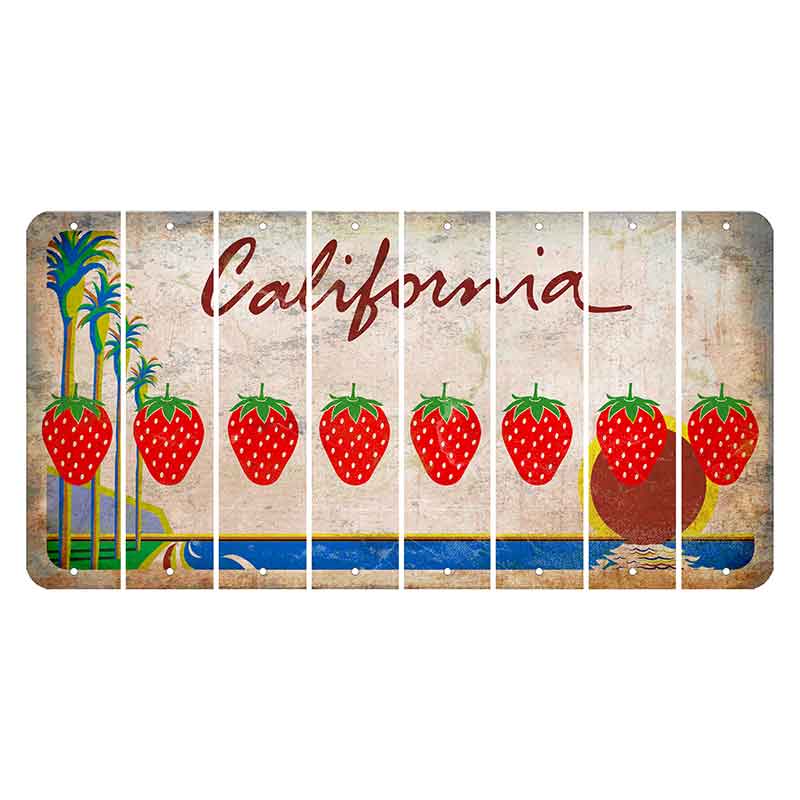 California Coastline Cut License Plate Strips (Set of 8) Stethoscope