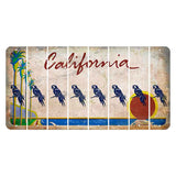 California Coastline Cut License Plate Strips (Set of 8) Parrot
