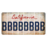 California White Cut License Plate Strips (Set of 8) B