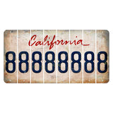 California White Cut License Plate Strips (Set of 8) 8