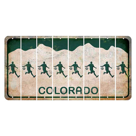 Colorado White|Green Mountains Cut License Plate Strips (Set of 8) Soccerball