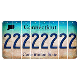 Connecticut Constitution State Cut License Plate Strips (Set of 8) 2