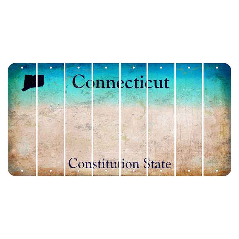 Connecticut Constitution State Cut License Plate Strips (Set of 8) Blank