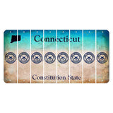 Connecticut Constitution State Cut License Plate Strips (Set of 8) 2nd Amendment
