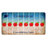Connecticut Constitution State Cut License Plate Strips (Set of 8) Apple