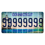 Connecticut Preserve the Sound Cut License Plate Strips (Set of 8) 9