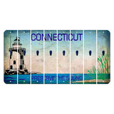 Connecticut Preserve the Sound Cut License Plate Strips (Set of 8) Apostrophe