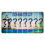 Connecticut Preserve the Sound Cut License Plate Strips (Set of 8) Question Mark