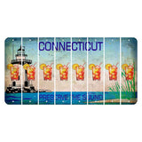 Connecticut Preserve the Sound Cut License Plate Strips (Set of 8) Cocktail