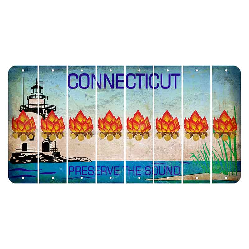 Connecticut Preserve the Sound Cut License Plate Strips (Set of 8) Campfire
