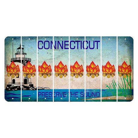 Connecticut Preserve the Sound Cut License Plate Strips (Set of 8) Campfire