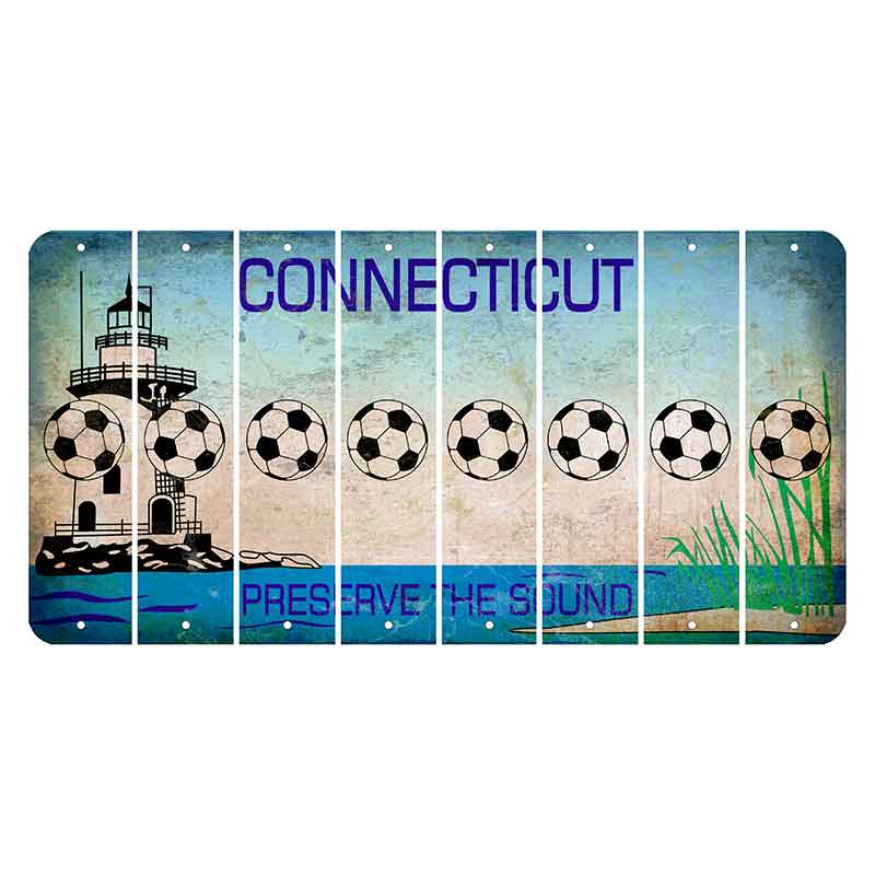 Connecticut Preserve the Sound Cut License Plate Strips (Set of 8) Soccerball