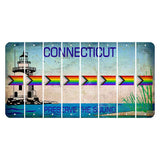 Connecticut Preserve the Sound Cut License Plate Strips (Set of 8) LGBTQ Flag