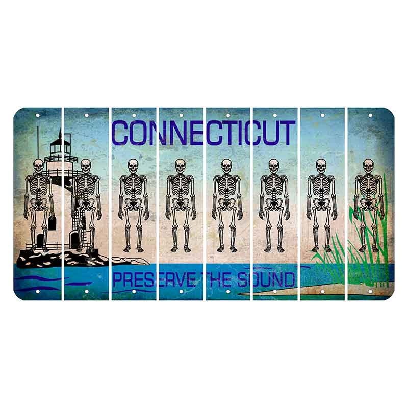 Connecticut Preserve the Sound Cut License Plate Strips (Set of 8) Skeleton