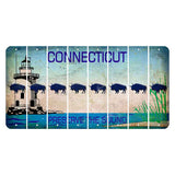Connecticut Preserve the Sound Cut License Plate Strips (Set of 8) Buffalo