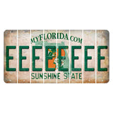 Florida Orange Blossom Cut License Plate Strips (Set of 8) E