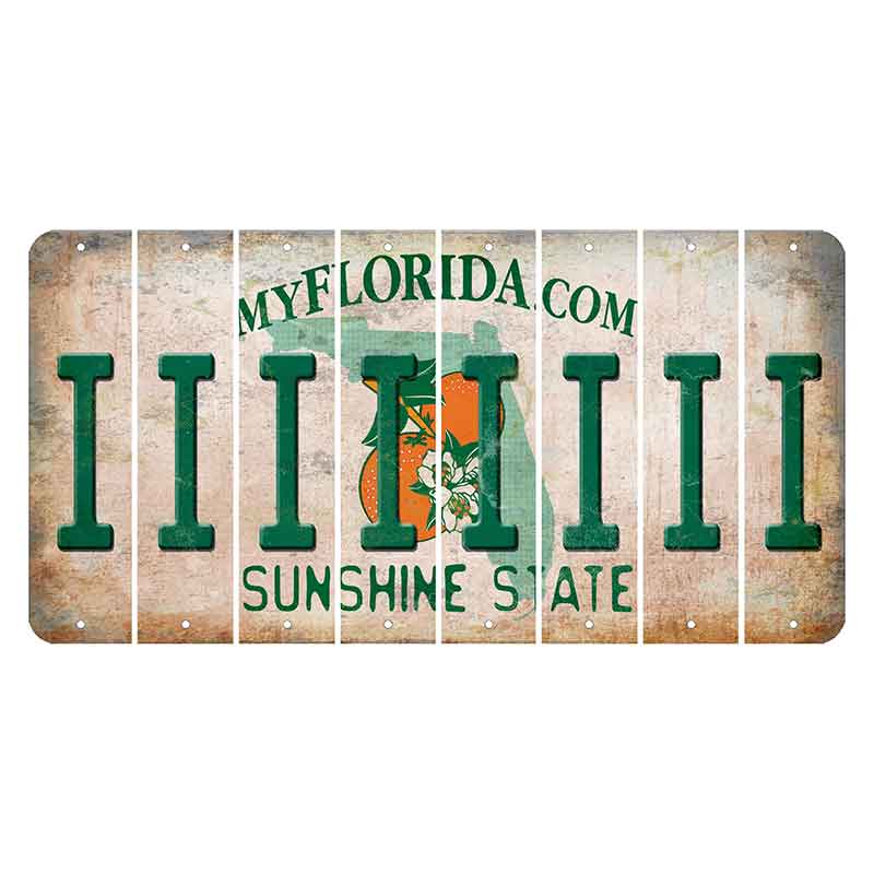 Florida Orange Blossom Cut License Plate Strips (Set of 8) I