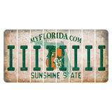 Florida Orange Blossom Cut License Plate Strips (Set of 8) I