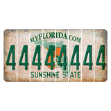 Florida Orange Blossom Cut License Plate Strips (Set of 8) 4